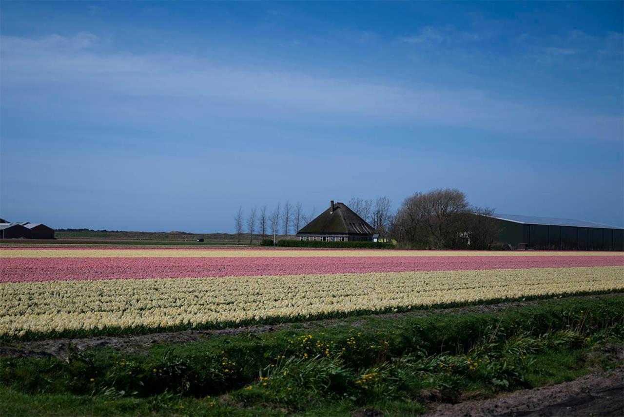 Bloem & Bed 't Zand Exterior foto