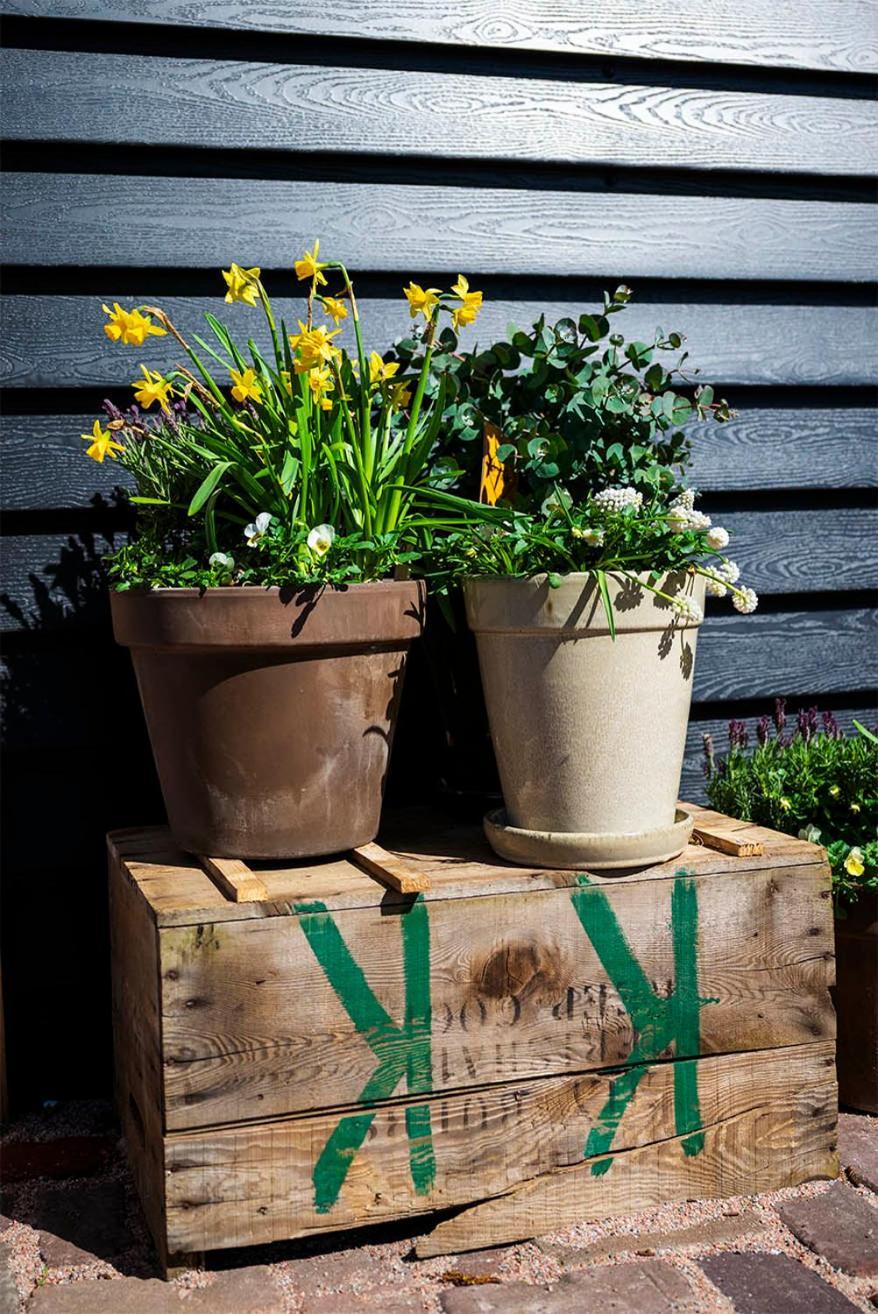 Bloem & Bed 't Zand Exterior foto
