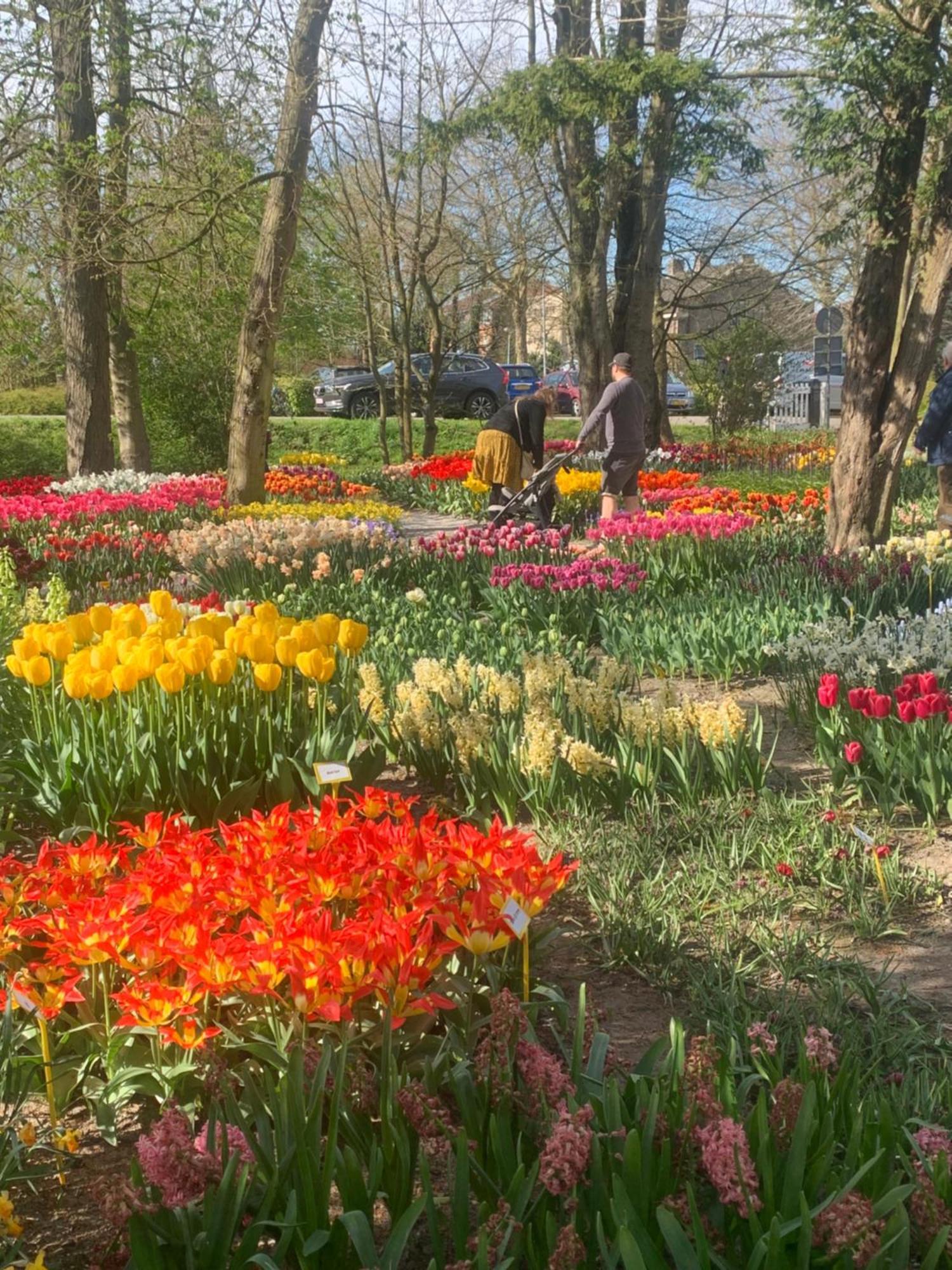 Bloem & Bed 't Zand Exterior foto